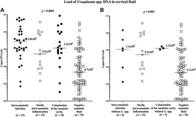 Prevalence and Load of Cervical Ureaplasma Species With Respect to Intra-amniotic Complications in Women With Preterm Prelabor Rupture of Membranes Before 34 weeks